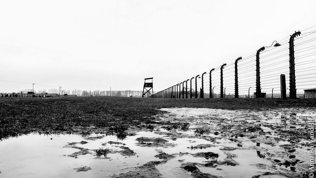 AnnalisaVandelli Auschwitz 006